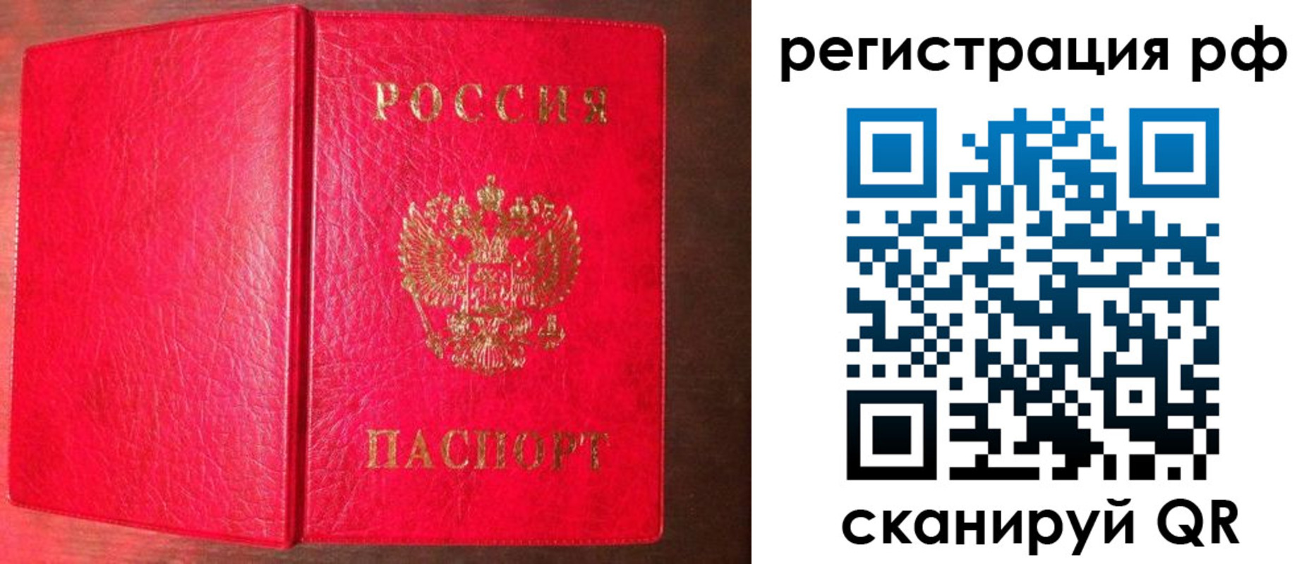 прописка в квартире в Стародубе